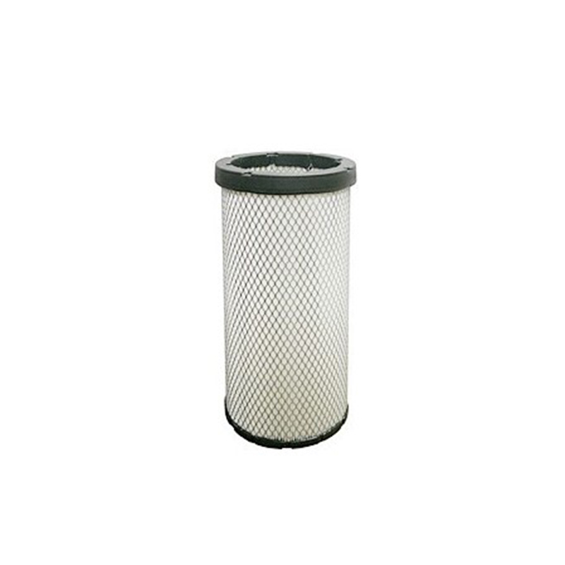 Air Filter P500198 for Donaldson